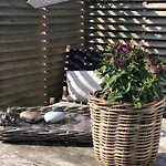 La Maison Buis 3*
